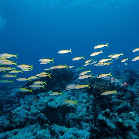 Bangaram Island Beach Resort Dış mekan fotoğraf